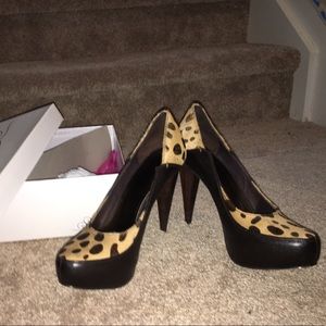 Matty’s Fur Heels